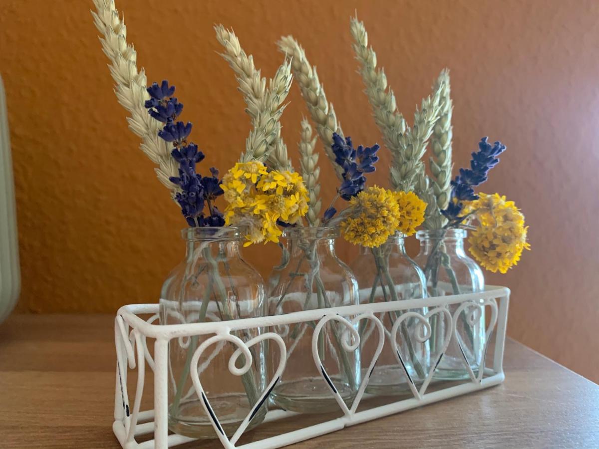 קמניץ Fewo "Rabennest " Gemuetliche Wohnung Nahe Rabensteinklinikum - Kein Separates Schlafzimmer, Studiowohnung מראה חיצוני תמונה
